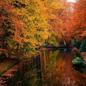 WP00357 Фотообои Verol Фотообои decoline 1х1 м