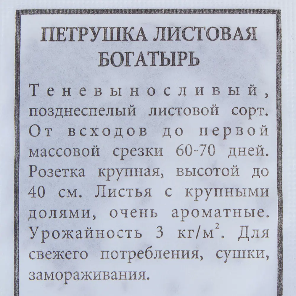 САДОК Петрушка Богатырь - теневыносливый сорт с крупной розеткой 18580496 STLM-0011498 - Вид №2