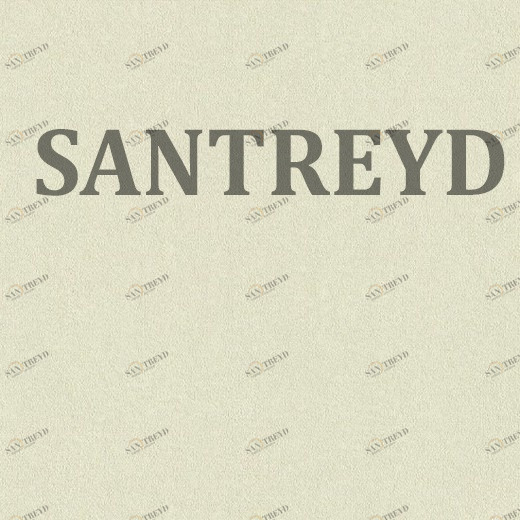 949933 Обои Rasch Maximum XIV