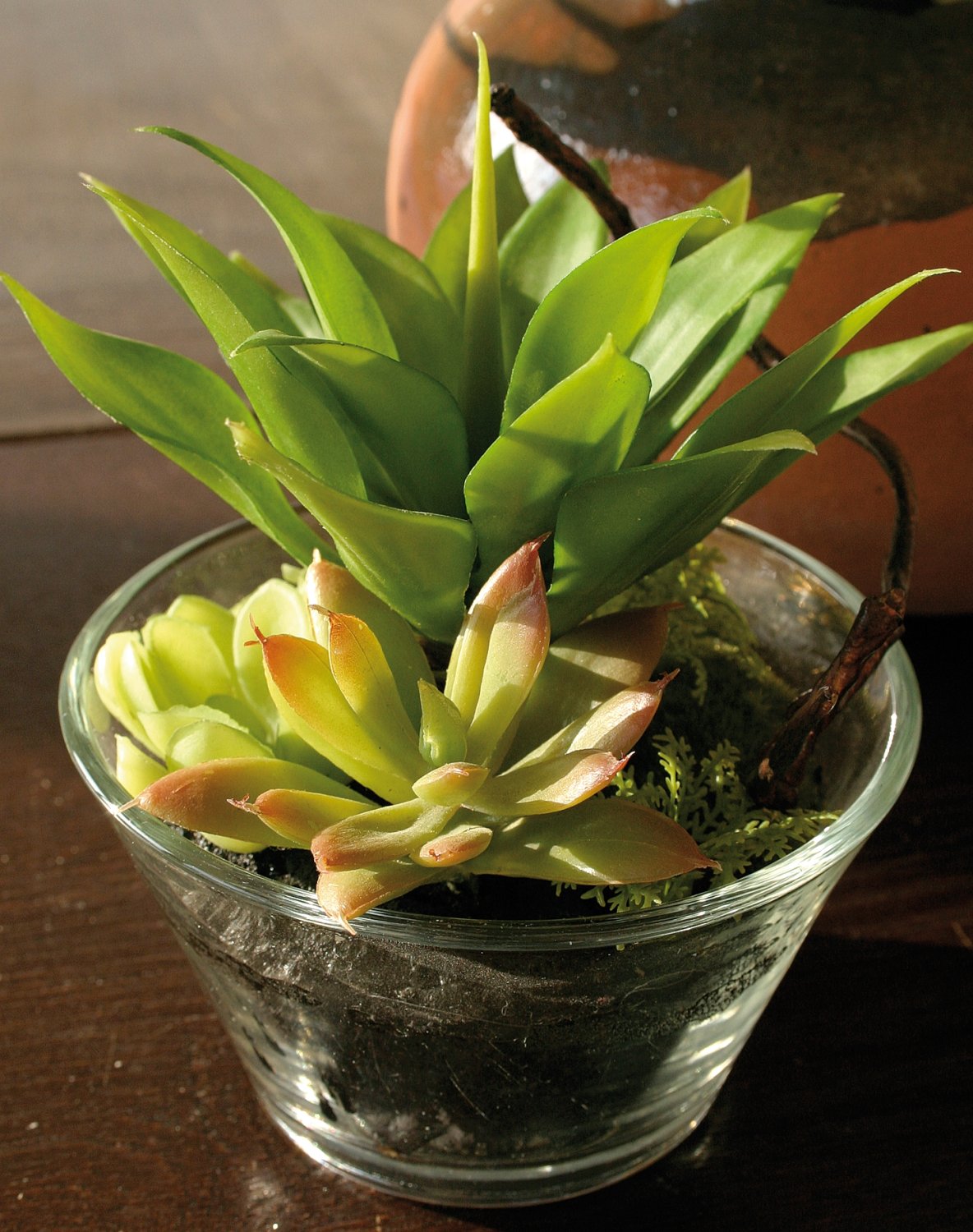 6031 883 a3 Искусственные суккуленты-микс в стеклянном горшочке, 13 см, зеленый H-andreas 