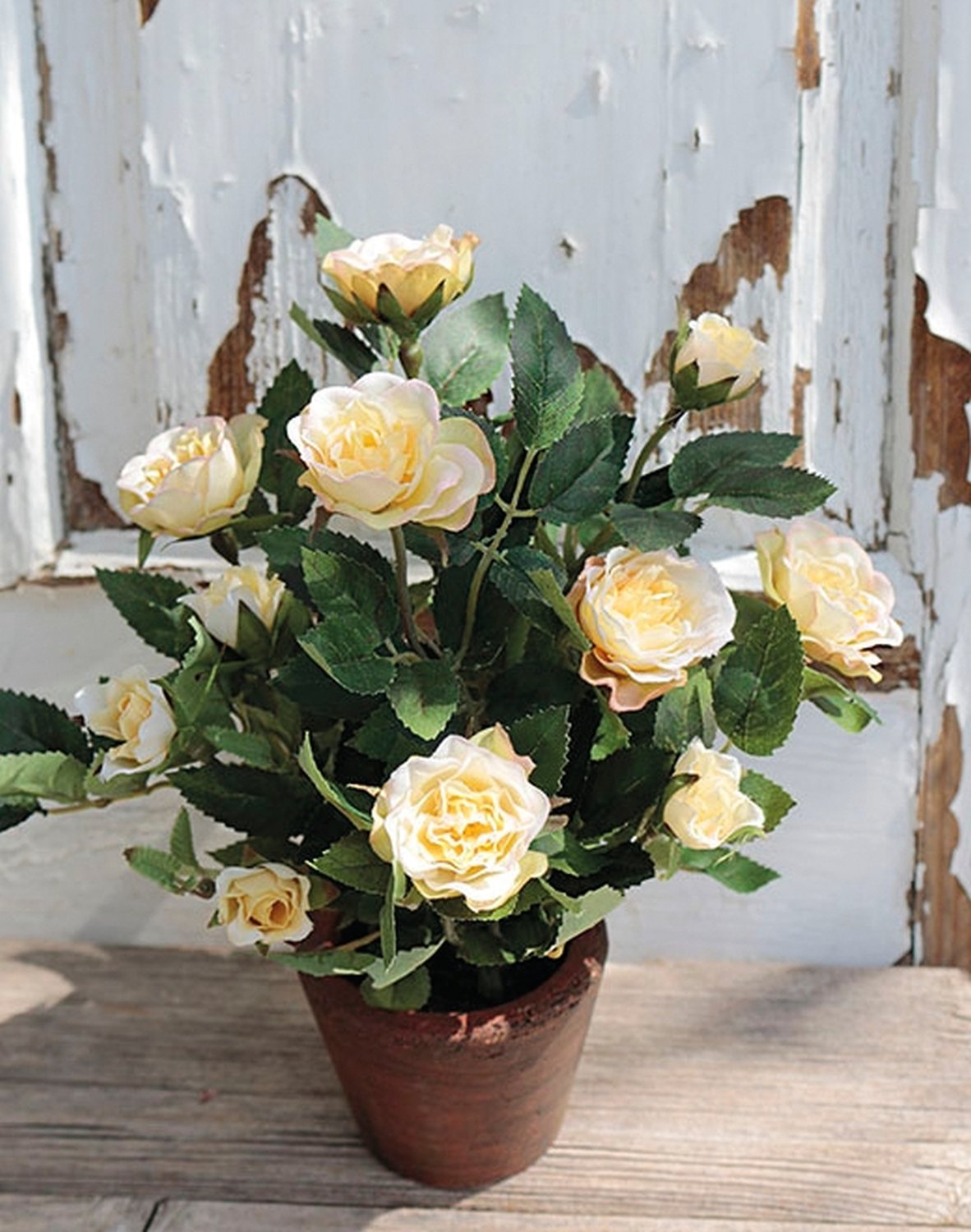 2146 733 a2 Шелковые розы кустовые, горшечные, 23 см, бежево-желтые H-andreas  - Вид №1