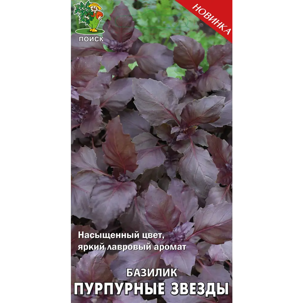 Базилик «Пурпурные звезды» от ПОИСК — ароматная зелень с лавровым оттенком 82102315 STLM-0018955
