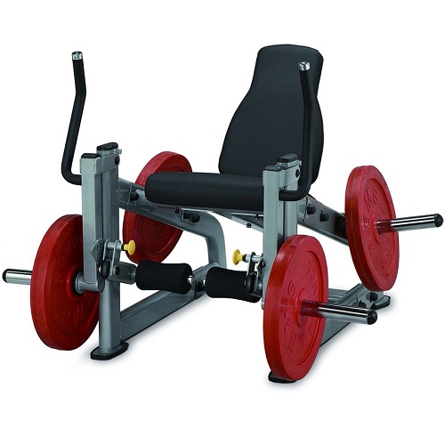 PLLE Steel flex plate load plle разгибание ног Steel Flex Plate load  - Вид №1