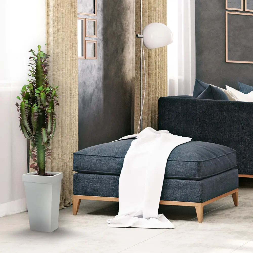 Эуфорбия микс 17x55 см 82850442 STLM-2121559 Santreyd  - Вид №4