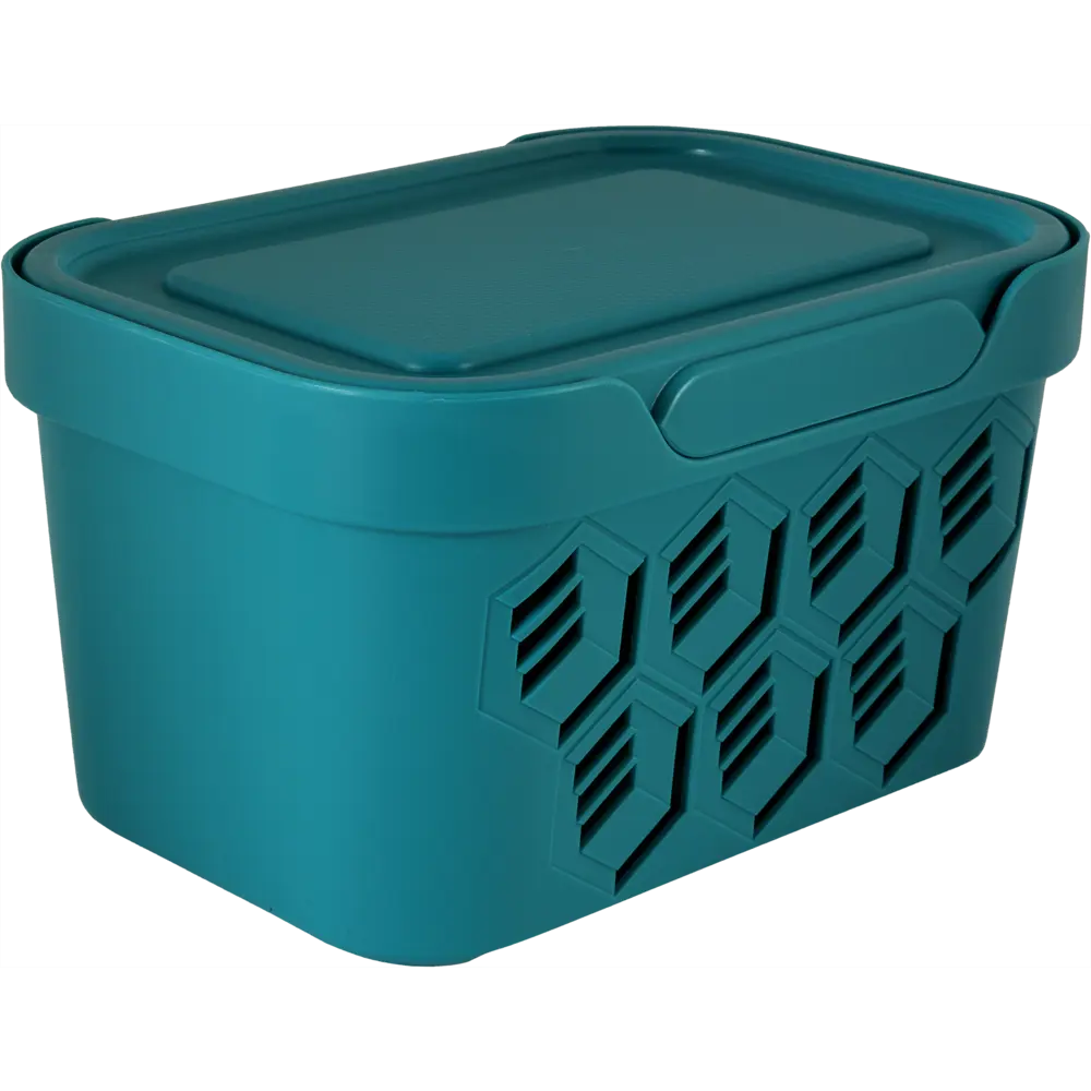 Ящик DELUXE с крышкой 18.9x11x13.2 см 1.9 л полипропилен цвет голубой БЫТПЛАСТ STLM-2007962 - Вид №1