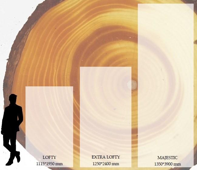ARKdeko’® Панель из смолы sun-id-1429068 - Вид №1