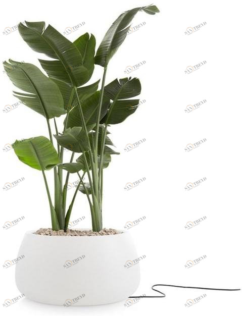 Diabla Яркий пластиковый садовый горшок Gobi sun-id-1406337