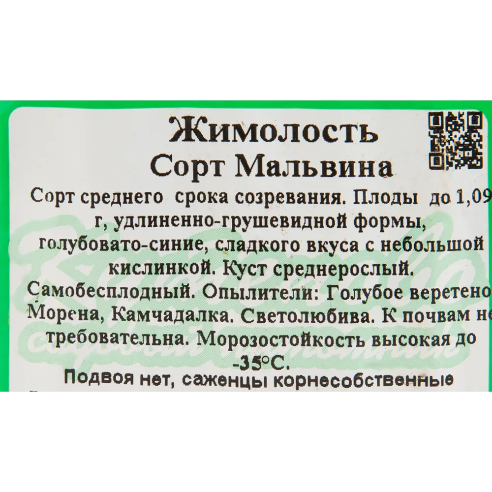 Жимолость плодовая «Мальвина» C3 высота 50 см 82597080 STLM-2171281 Santreyd  - Вид №1