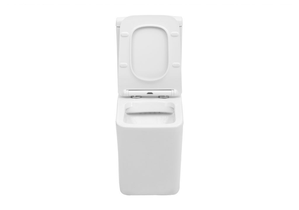 BL103NTPT Компакт унитаз с бачком Белый Aquanet TAVR Китай - Вид №8