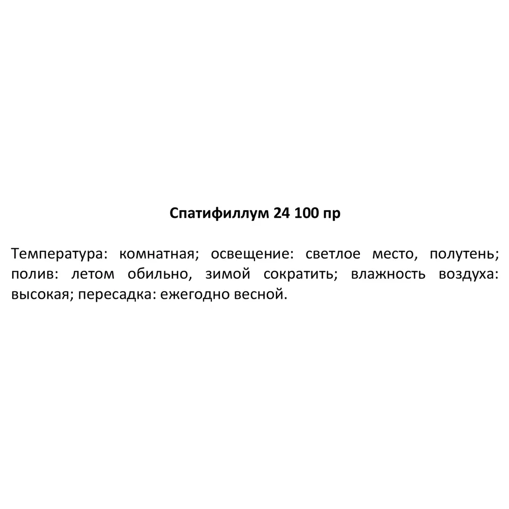 Santreyd Спатифиллум 'Женское счастье' - элегантное комнатное растение с белыми цветами 86750222 STLM-0071270 - Вид №4