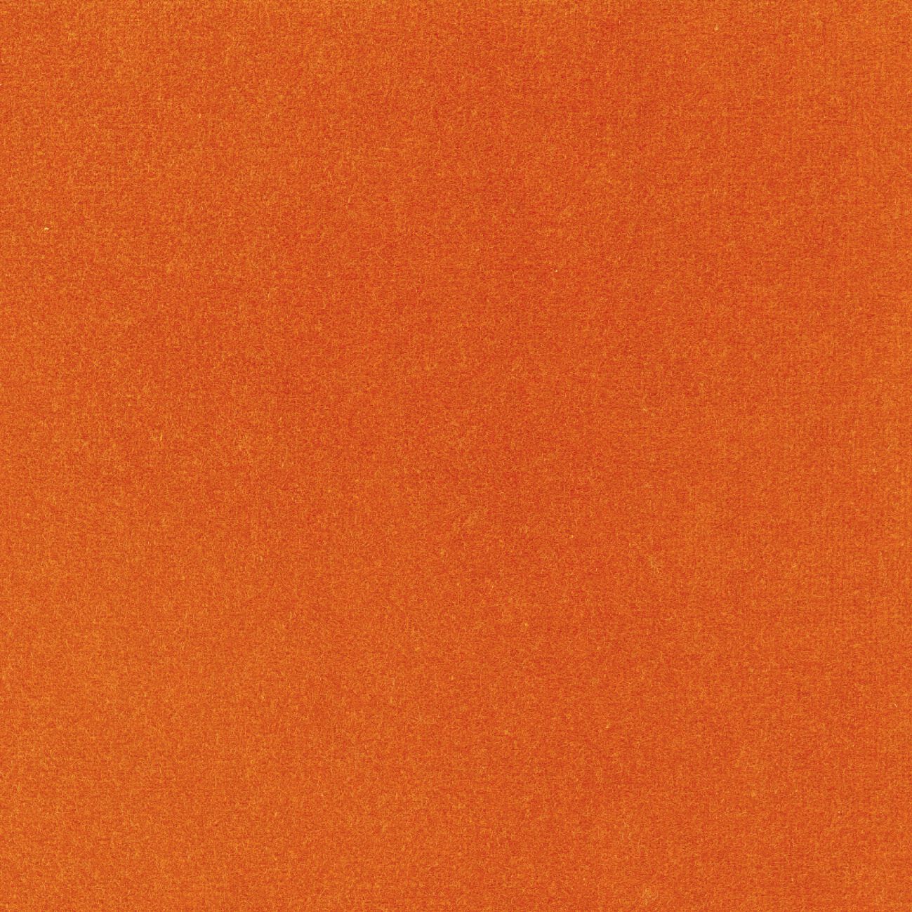 Бархатная однотонная ткань Élitis Palatine ARCH-00143253 - Вид №51