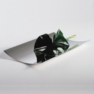 D10X17 Металлическая форма бабочки Adriani e Rossi