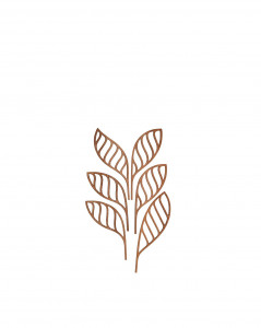 Выходит на диффузор. Шшш Алесси Пять сезонов