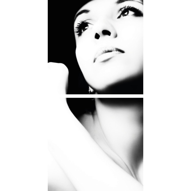 1410SB2X165 Набор 2 картин 1410 Adriani e Rossi  - Вид №1