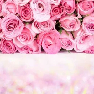 P-022 Фотообои DIVINO L&P 4х2.7 м