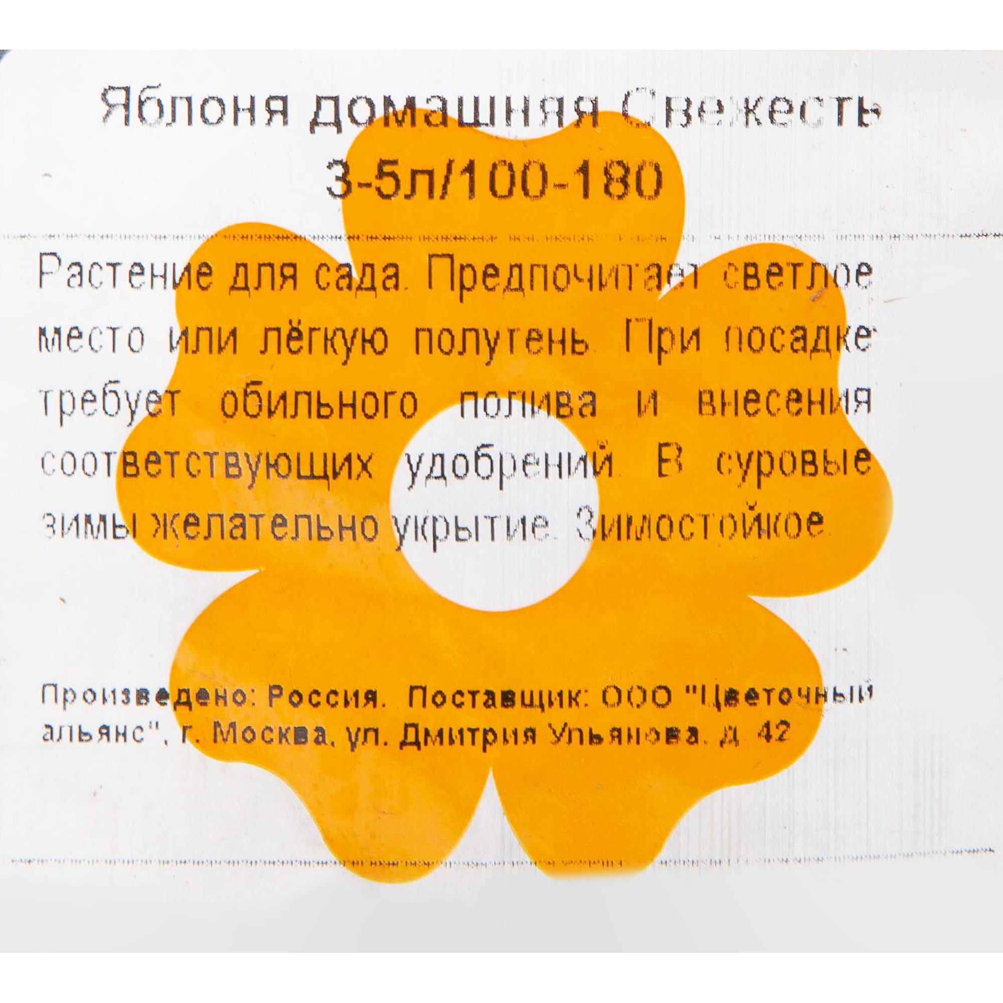 82601712 Яблоня домашняя «Свежесть» 3-5 л высота 100-180 см Santreyd  - Вид №1