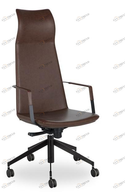 B&T Design Кожаное кресло для руководителя с 5 спицами и высокой спинкой Zone sun-id-1473141