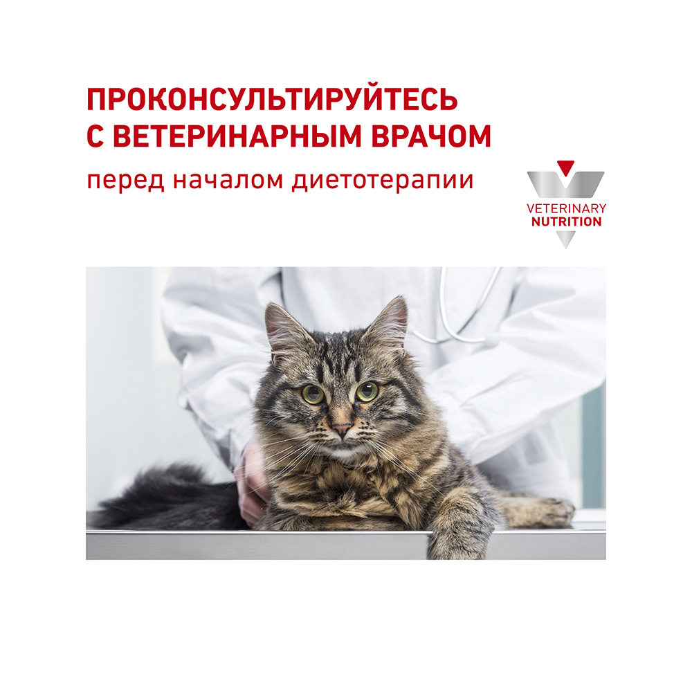 Т0040066 Корм для кошек Vet Diet Renal при почечной недостаточности рыба пауч 85г ROYAL CANIN  - Вид №7