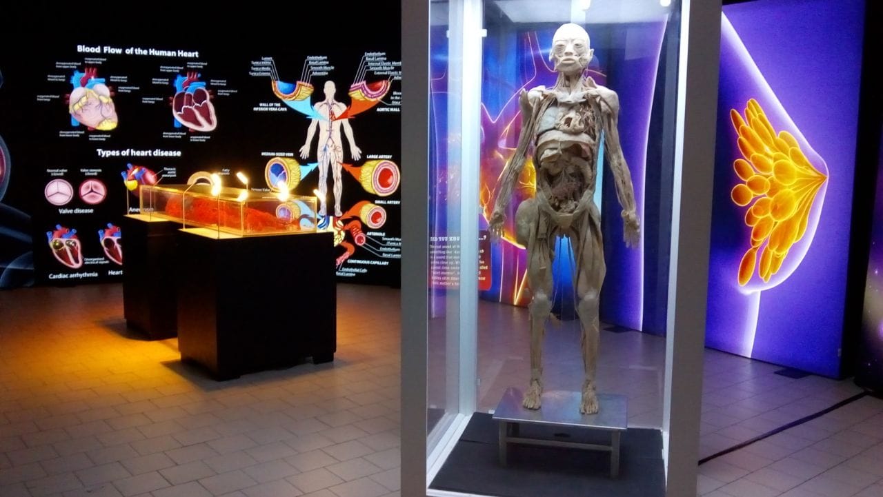 Алюминиевая и тканевая система для музейной отделки ABS Group ALLESTIMENTI PER MUSEI ARCH-00107562 - Вид №12