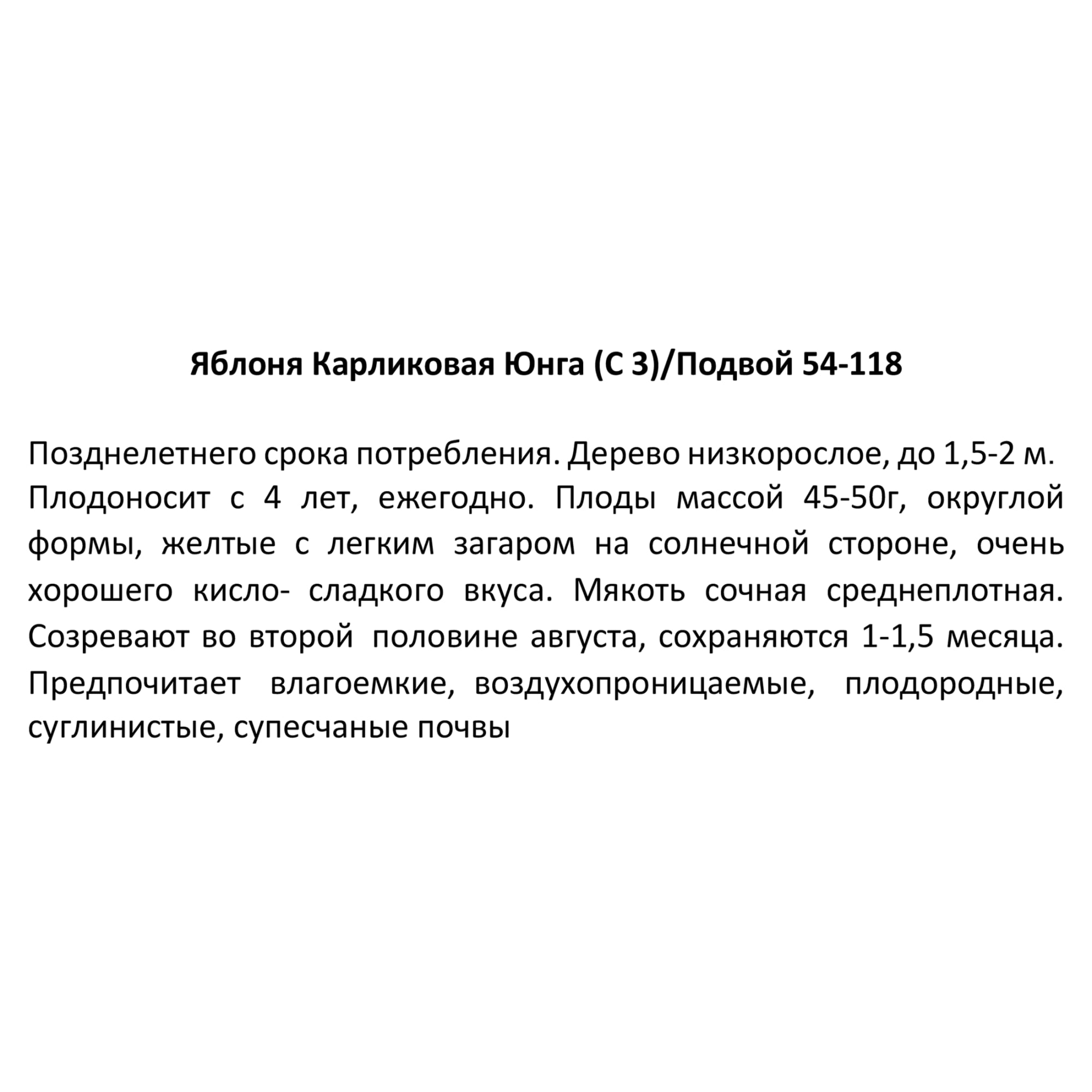 85325554 Яблоня карликовая Юнга ø17.5 h80 см Santreyd  - Вид №2