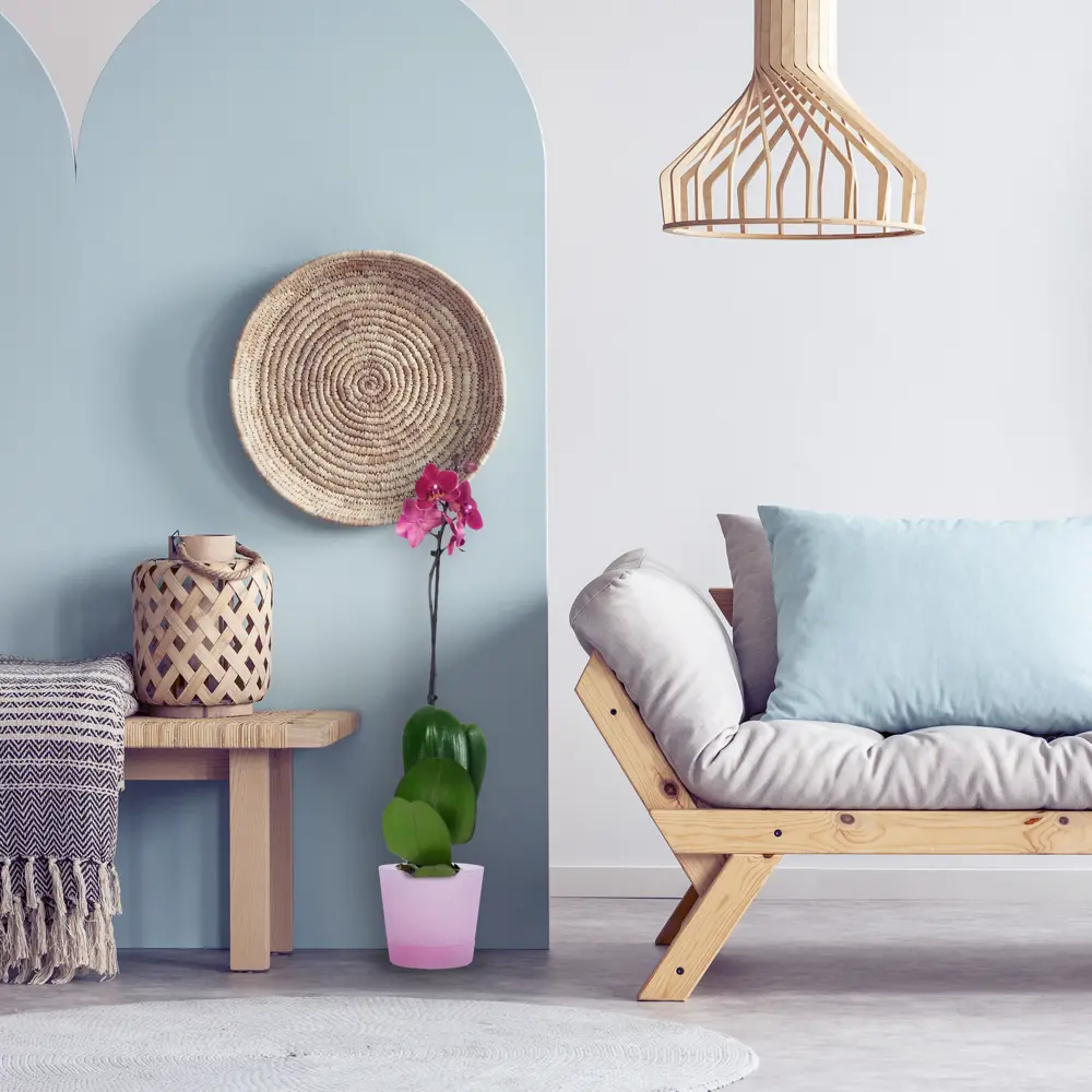 Santreyd Орхидея Фаленопсис Экстра - изысканное украшение интерьера 13974277 STLM-0004094 - Вид №7