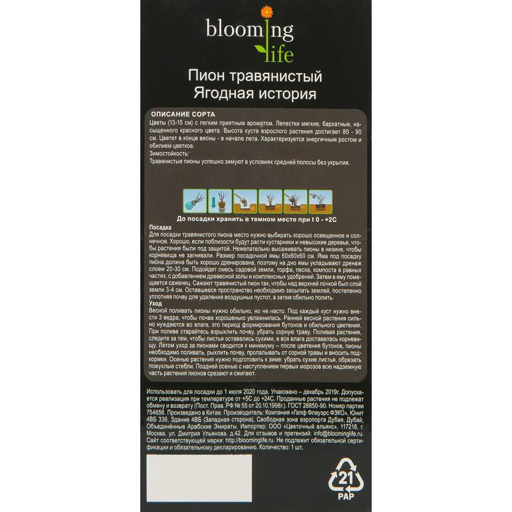 Пион травянистый Ягодная история в тубе 82539511 STLM-2159485 BLOOMING LIFE  - Вид №1