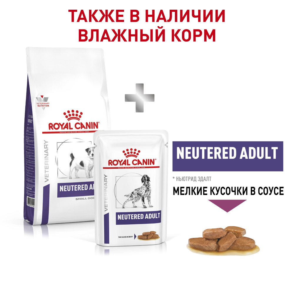 Т0045552 Корм для собак Neutered Adult Small Dog для кастрир. и стерил.собак мелких пород сух. 3,5кг ROYAL CANIN  - Вид №5