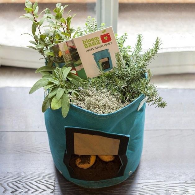 Onek чашка Bloembagz sun-id-1484376 - Вид №1