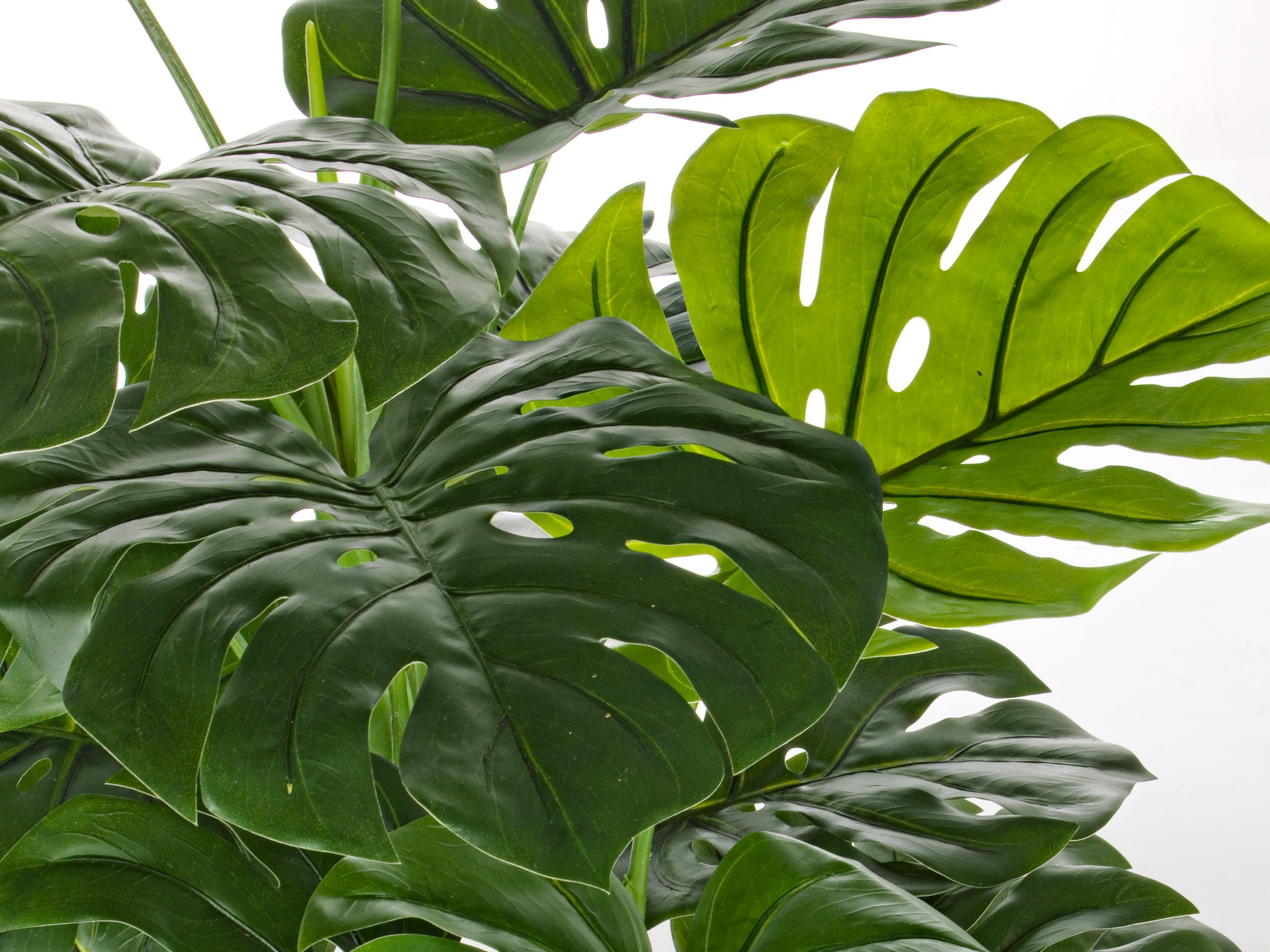 Искусственное растение BIZZOTTO FILODENDRO H120 ARCH-00044577