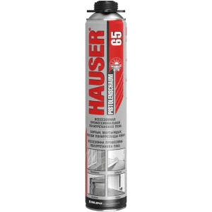 Пена монтажная профессиональная Tytan Hauser 65 всезенонная 740 мл