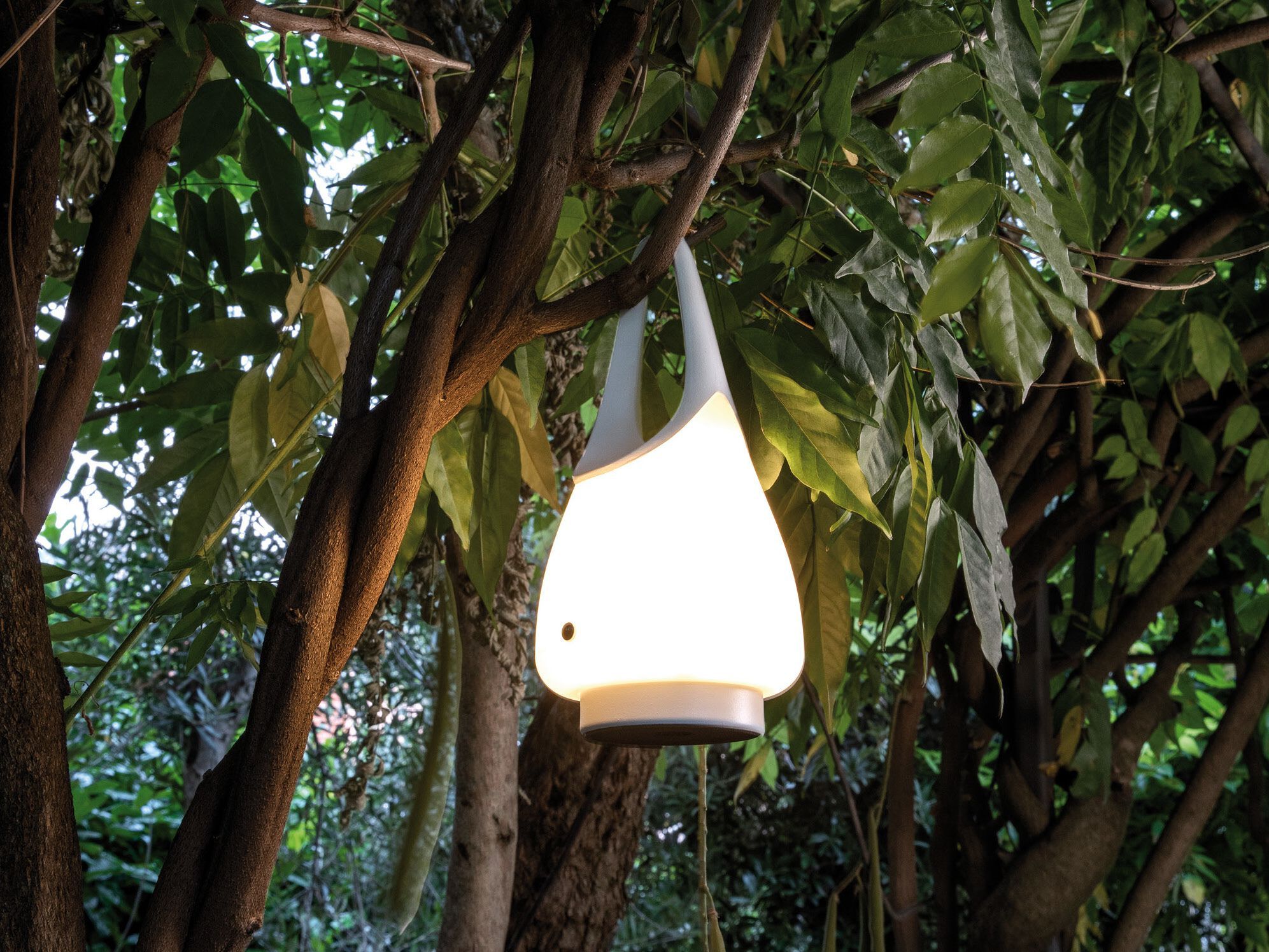 Аккумуляторная батарея LED открытый настольная лампа Vermobil освещение ARCH-00102325 - Вид №1