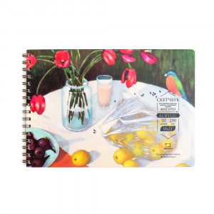 401601 Скетчбук для акрила "Matisso" 290 г/м2 21 х 30 см на спирали 20 л. Малевичъ