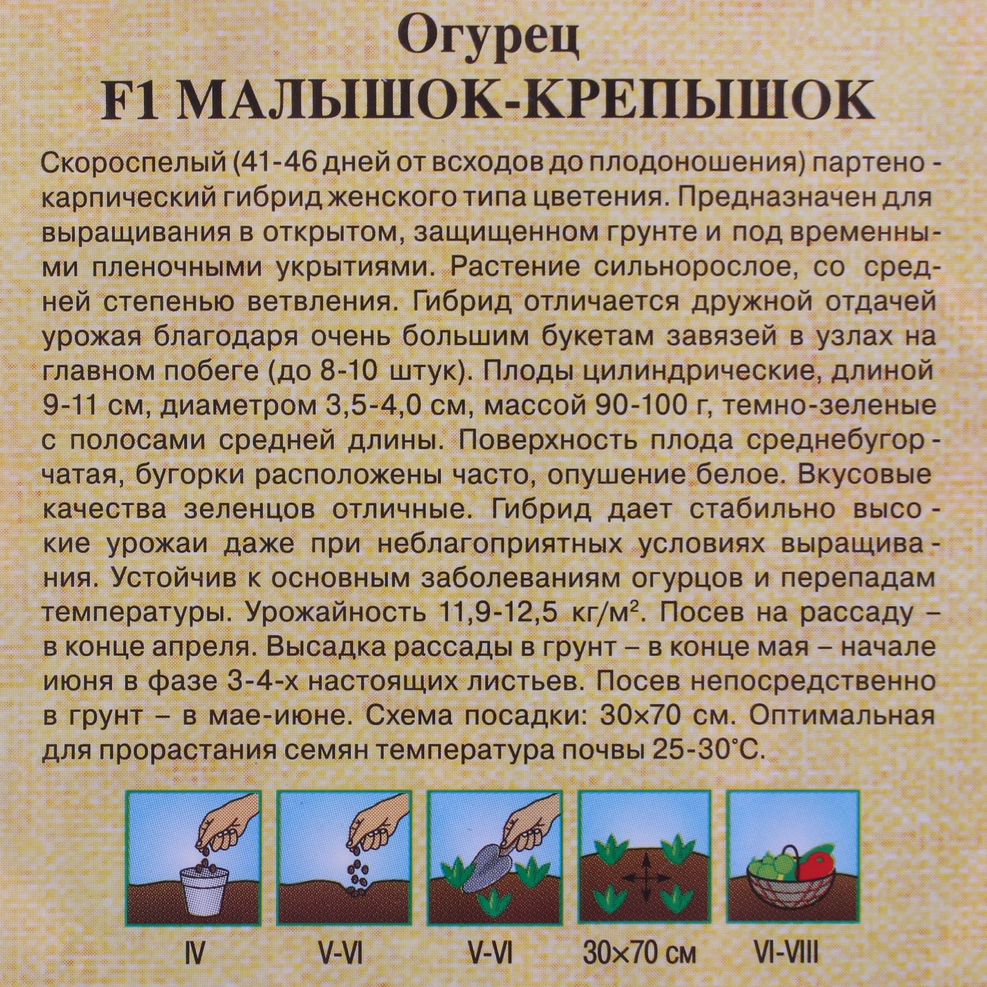 81933363 Семена Огурец «Малышок-крепышок» F1, h13, 10 шт Santreyd  - Вид №2