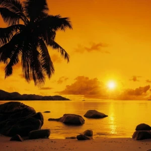 8-316-Sunset Фотообои Komar Vol.15 2.54х3.68 м