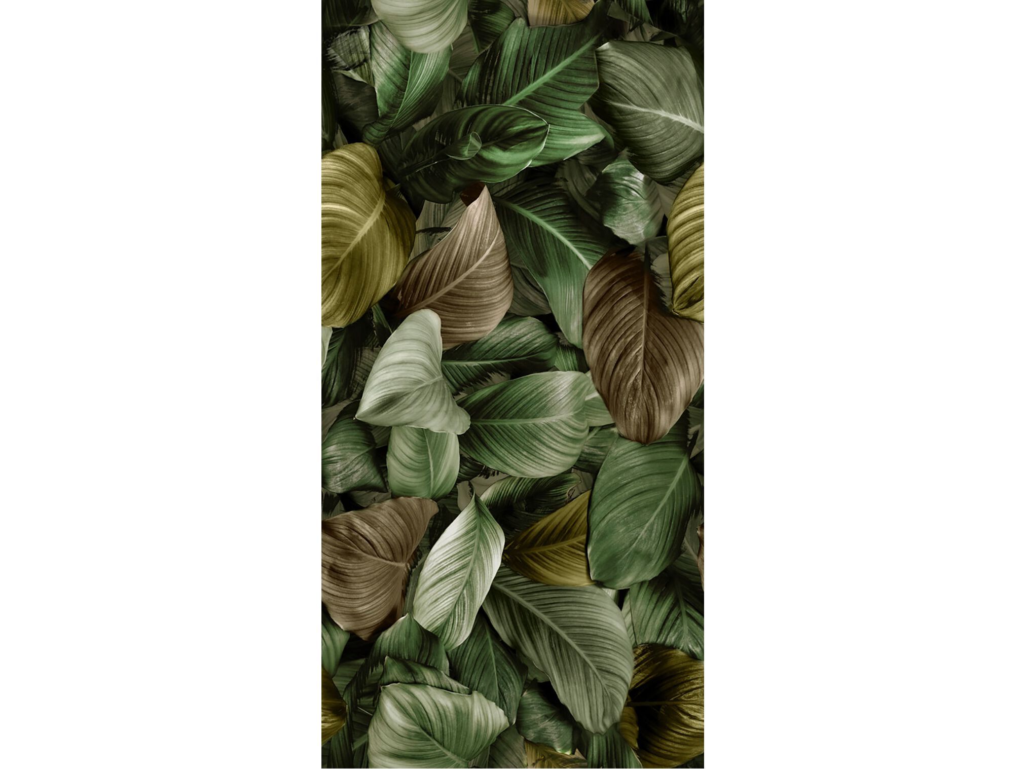 Керамогранит MILLE997 WallTiles ARCH-00121970 - Вид №1