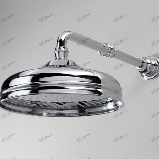 Душевая лейка AQ5130/SNCR Devon Devon SHOWER Devon&Devon AQ5130SNCR