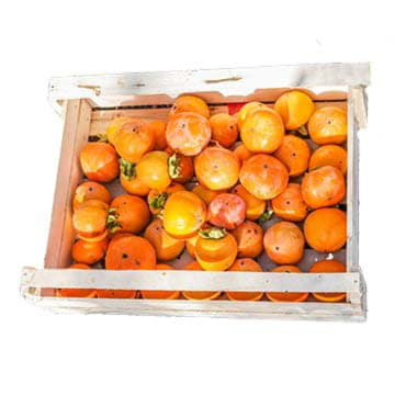 Хурма Королёк в ящике ~10 кг Santreyd 26568