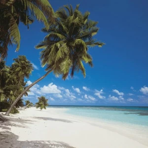 8-240-Maldives Фотообои Komar Scenics Edition 2 2.70х3.88 м