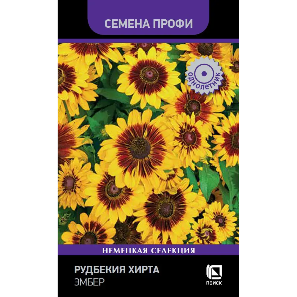 Рудбекия Хирта Эмбер от ПОИСК - двухцветные гигантские цветы 89402650 STLM-1578963