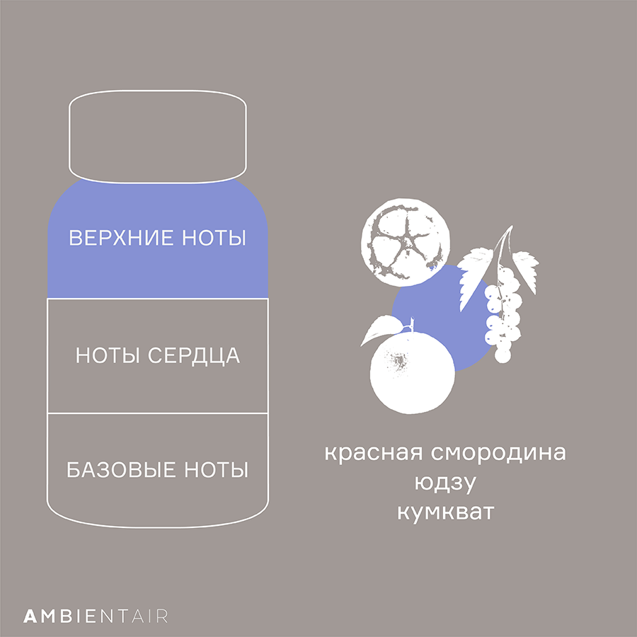 MK180CPHPA Диффузор ароматический sublime, Цитрусовый цвет, 180 мл Ambientair  - Вид №5