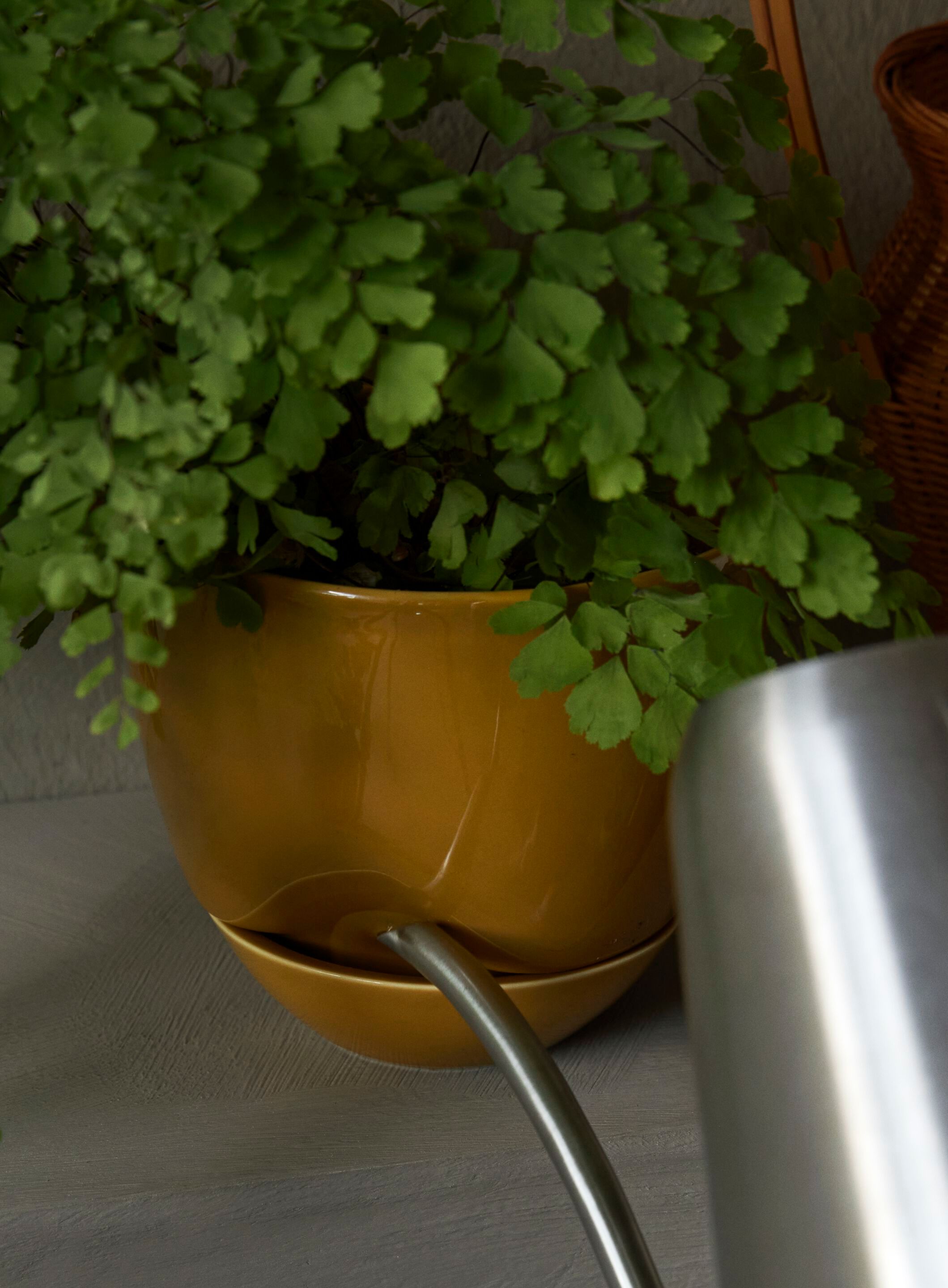 Глазурованная керамическая ваза Audo Copenhagen Hydrous ARCH-00033656 - Вид №12