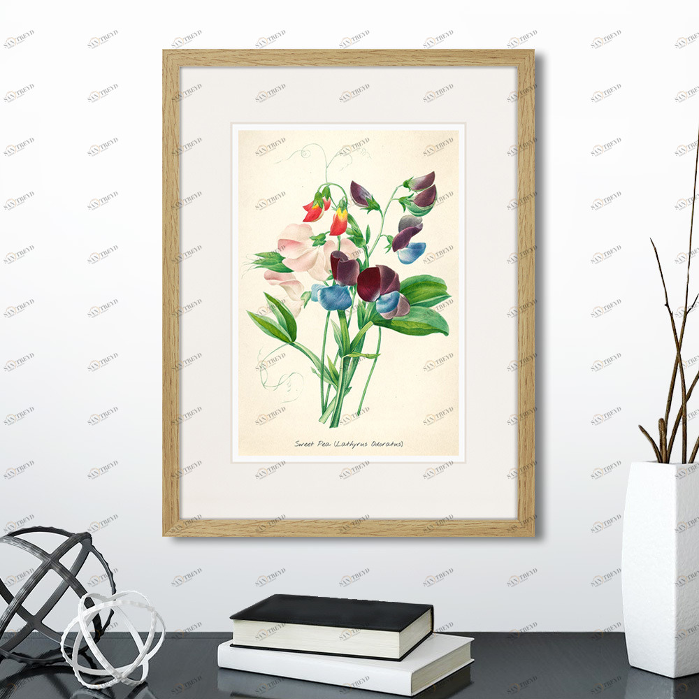 Картина в раме 32х42 см Botany illustration №4, 1836г. КАРТИНЫ В КВАРТИРУ  264492 Зеленый;красный;разноцветный 