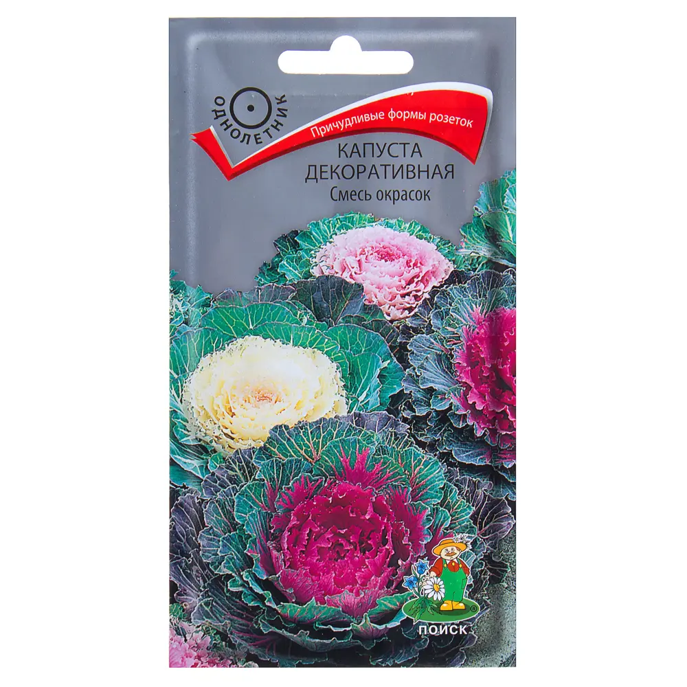 Капуста декоративная микс 18359396 STLM-2168487 ПОИСК 