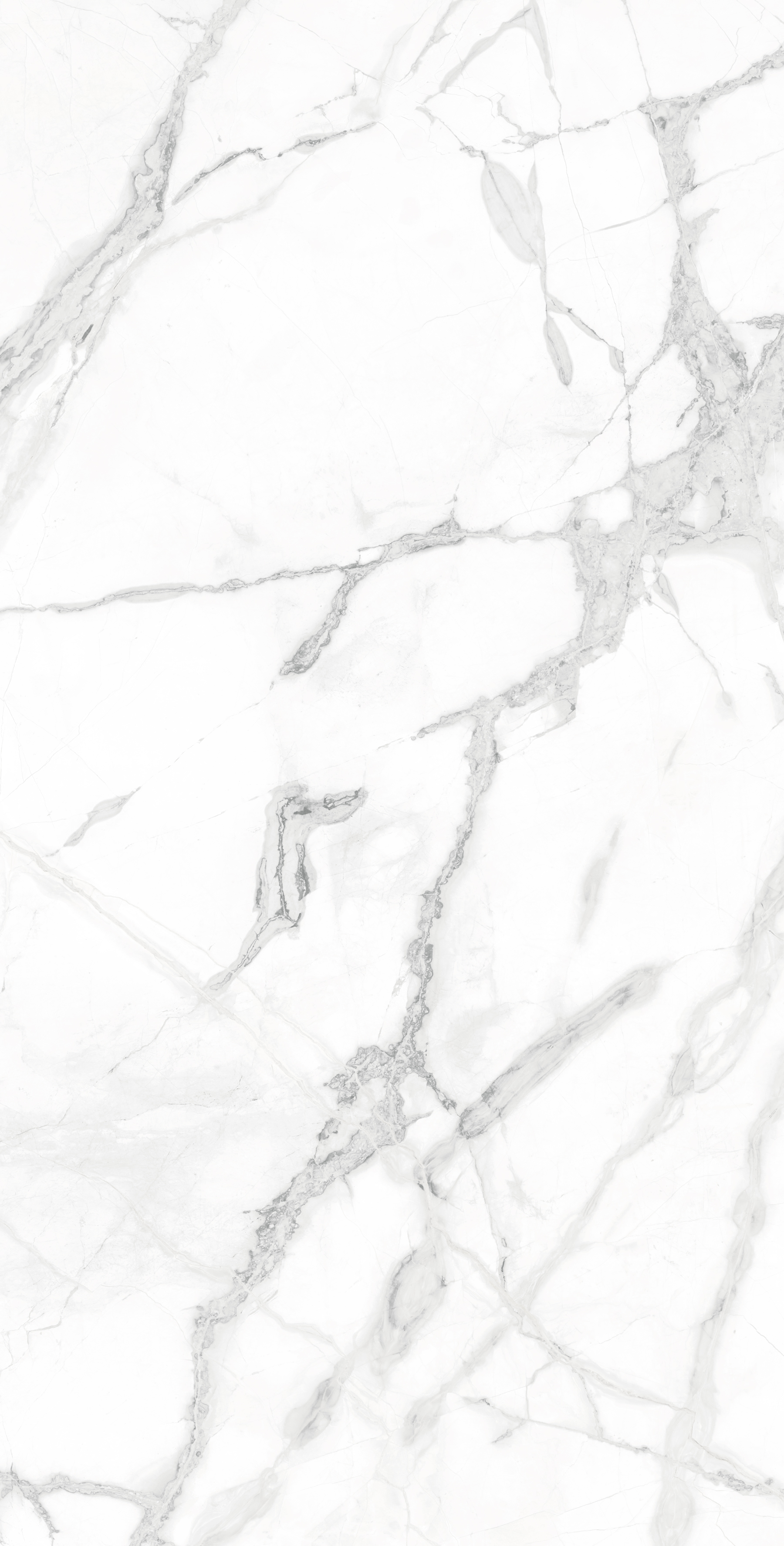Керамогранит DIVERSO WHITE 60х120 Arcadia Ceramica CR4023-A - Вид №6