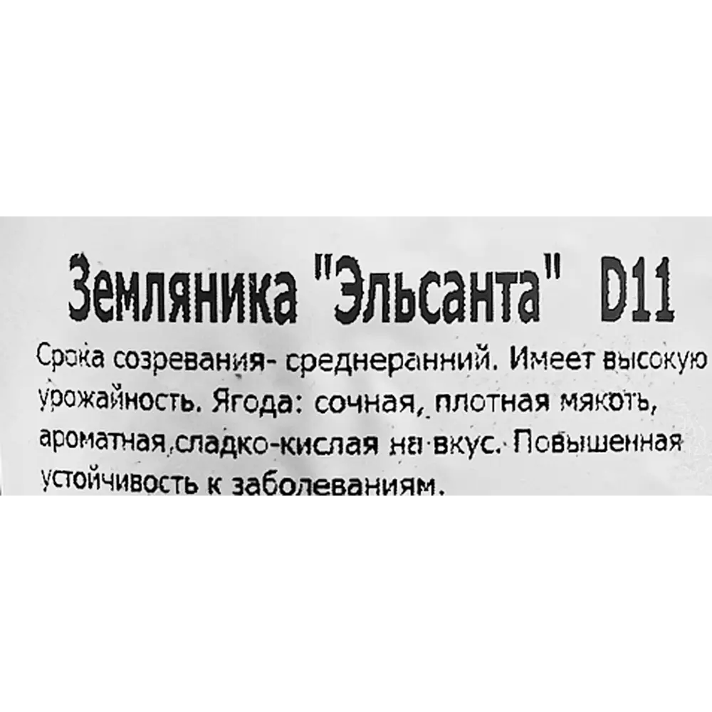 Земляника ремонтантная Эльсанта 11x15 см 83597600 STLM-2132710 Santreyd  - Вид №1
