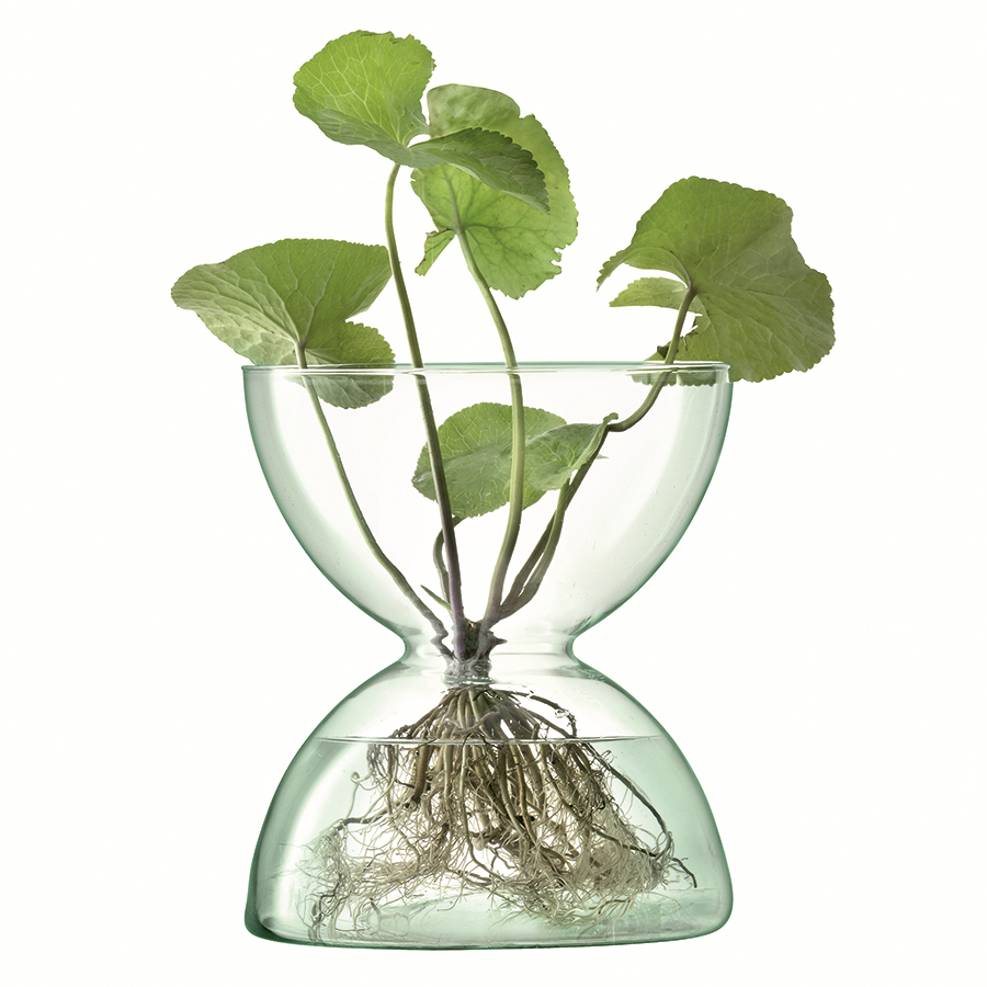 G1585-24-161 Ваза canopy 24см LSA International  - Вид №4