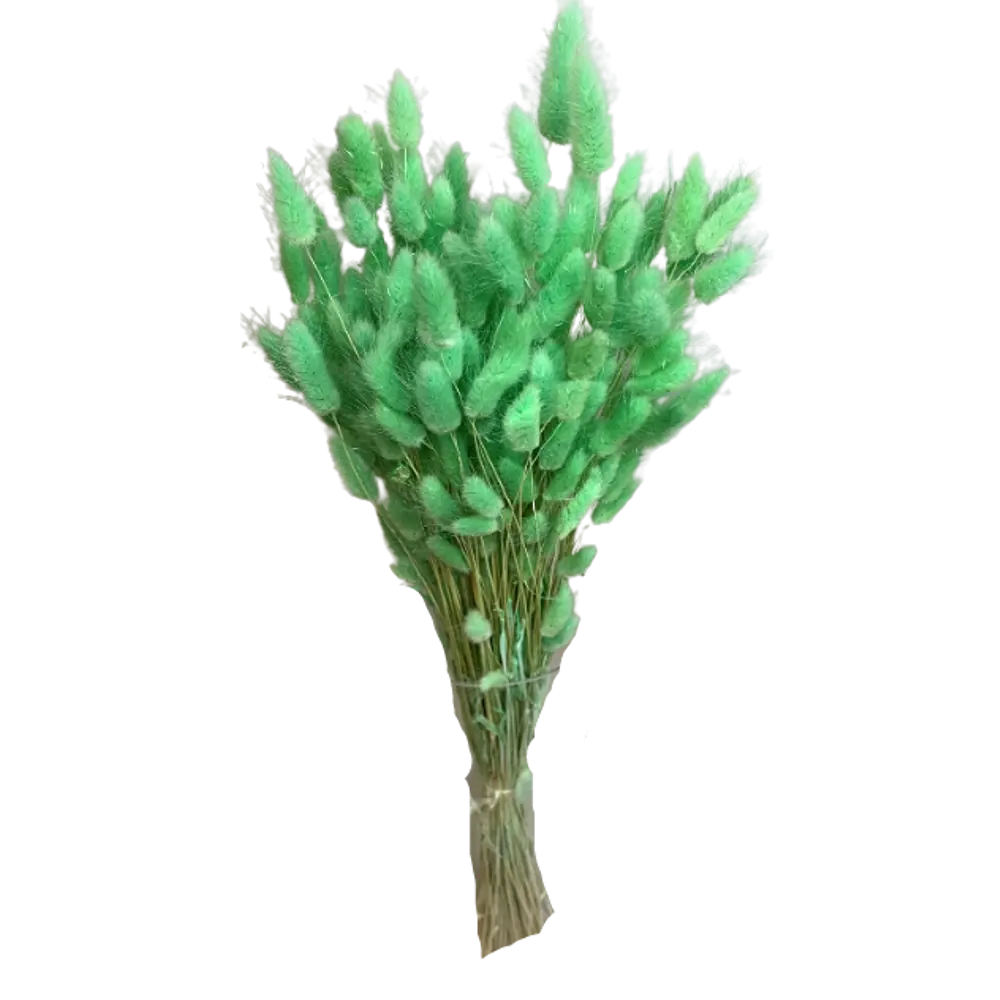 Букет из сухих цветов Лагурус микс 2 70 см Santreyd STLM-2185331 - Вид №8