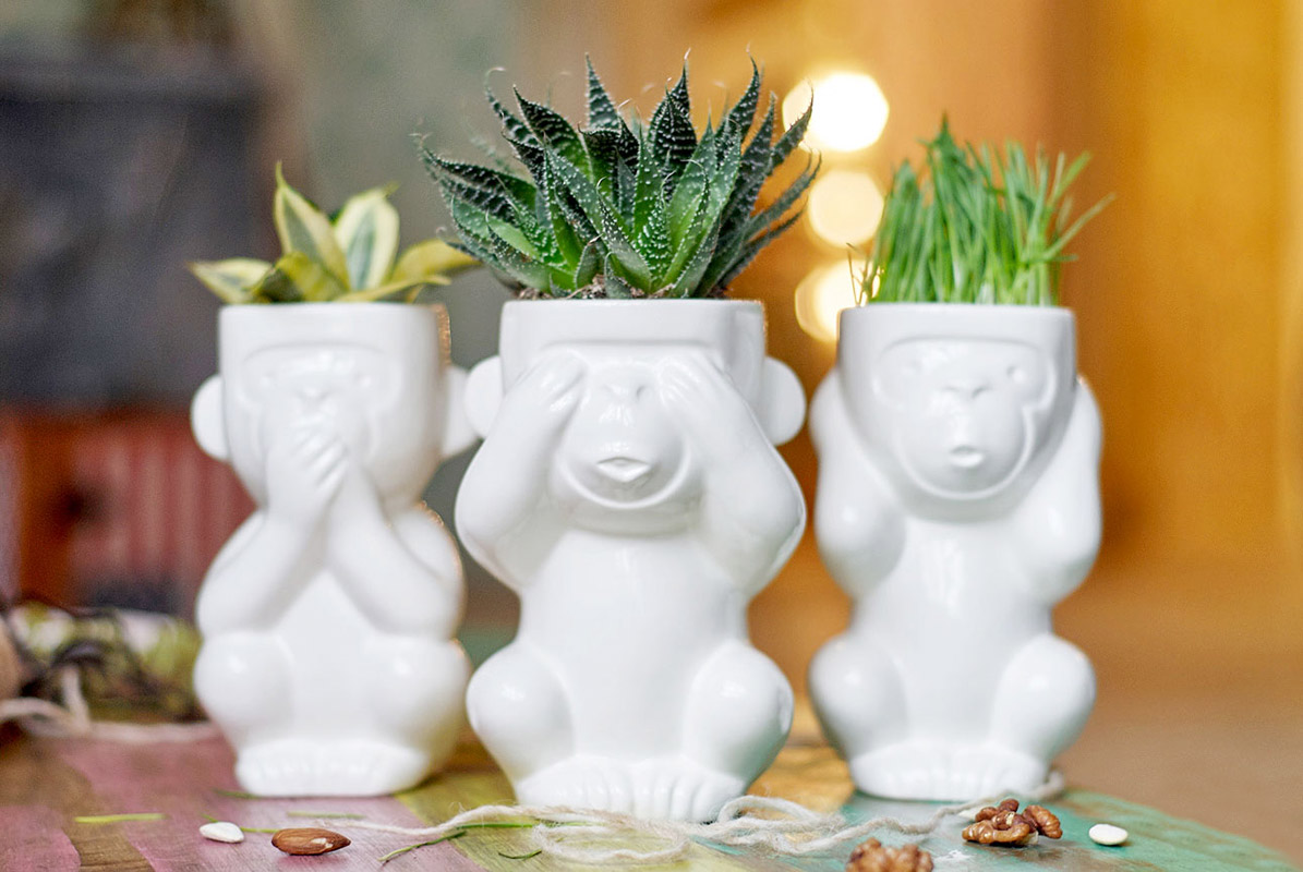 Горшок для растений Eco Молчун ЭКОЧЕЛОВЕКИ 2002 - Вид №1