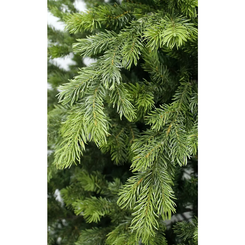 Ель новогодняя искусственная Emerald 210 см 89394113 STLM-2104028 BEATREES  - Вид №1
