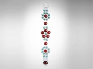 Corsi Design Браслет из смолы Oscar n Cjo-2005-01/02